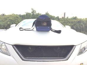 国产尾灯视频大全,视频大全中的科技与美学盛宴