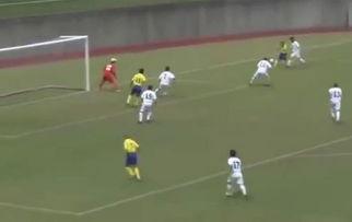 国产球员在国外踢球视频,国产球员在五大联赛的精彩瞬间回顾