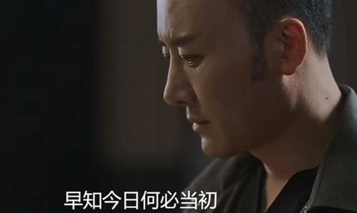 秦先生国产视频全集,穿越时空的浪漫传奇