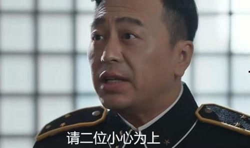 秦先生国产视频全集,穿越时空的浪漫传奇