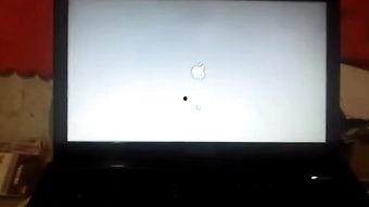 国产sv免费视频,揭秘国内短视频平台的魅力与挑战